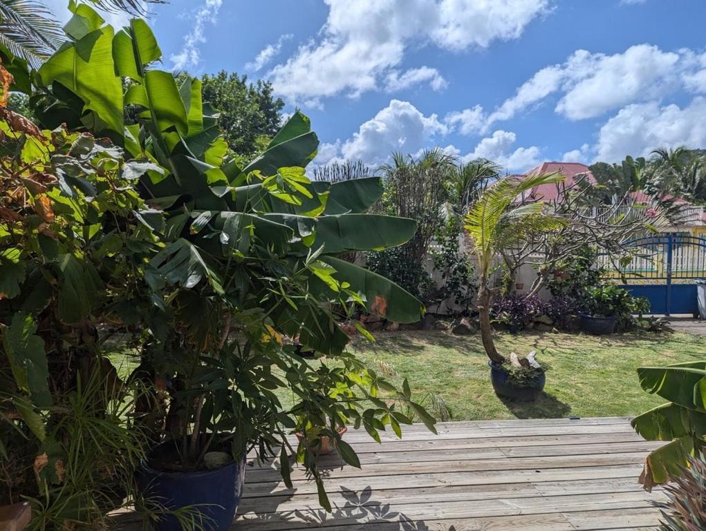 Villa Sur L'Anse Terre-De-Haut Zimmer foto